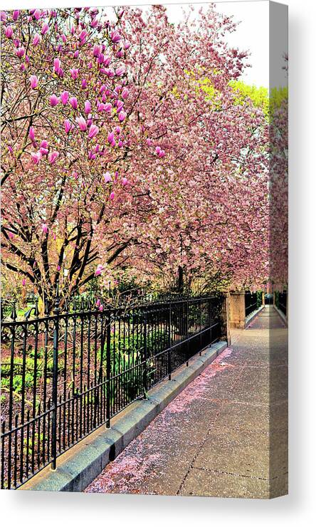 Bath Canvas Print featuring the photograph Communipaw by JAMART Photography
