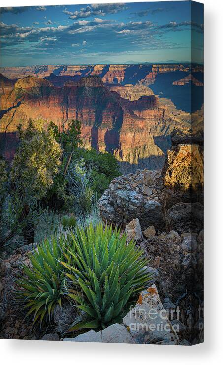 America Canvas Print featuring the photograph Confucius Temple and Agave by Inge Johnsson