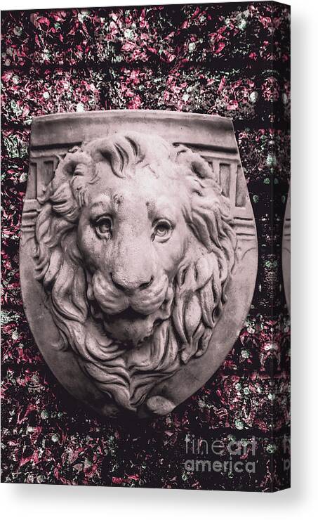 Courtyard Canvas Print featuring the photograph Courage crest by Jorgo Photography