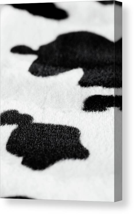 Animal Skin Canvas Print featuring the photograph Cow Fur Fabric Detail by Photovideostock