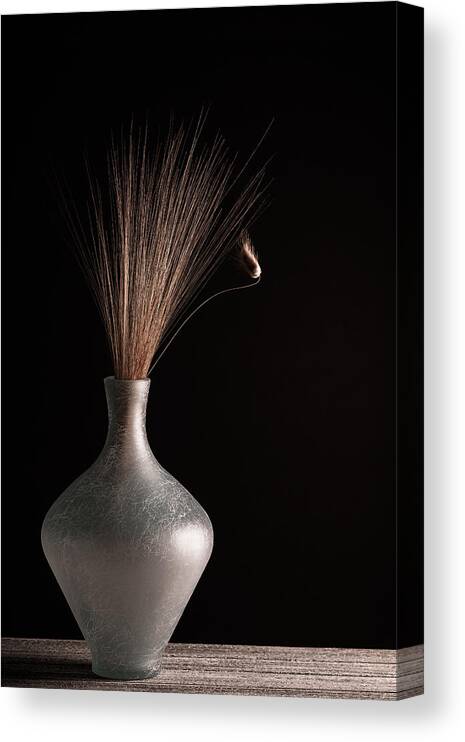 Vase Canvas Print featuring the photograph Curve IIi by Duan Ljubi?i?