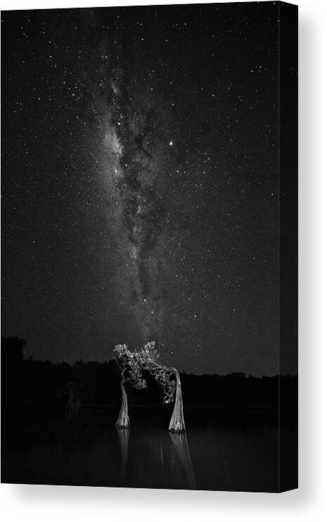 Nightsky Canvas Print featuring the photograph Dancing With Milky Way by Vincent Lim