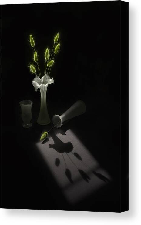 Grass Canvas Print featuring the photograph Dawn Shadows by Lydia Jacobs