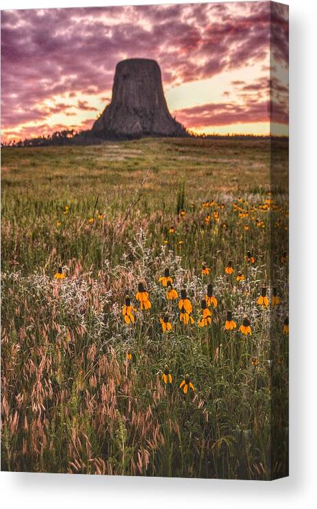 Devil's Canvas Print featuring the photograph Devil's Tower Sunset by Chance Kafka