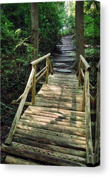 Landscape Canvas Print featuring the photograph Dnrs1019 by Henry Butz