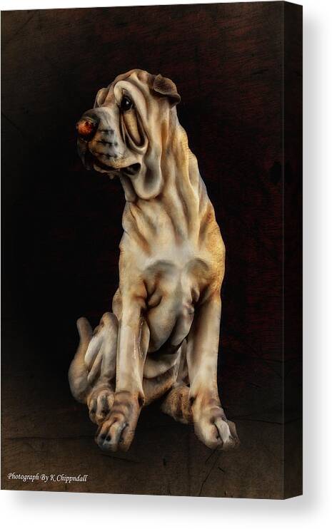 Dog Portrait Canvas Print featuring the digital art Dog portrait 63 by Kevin Chippindall