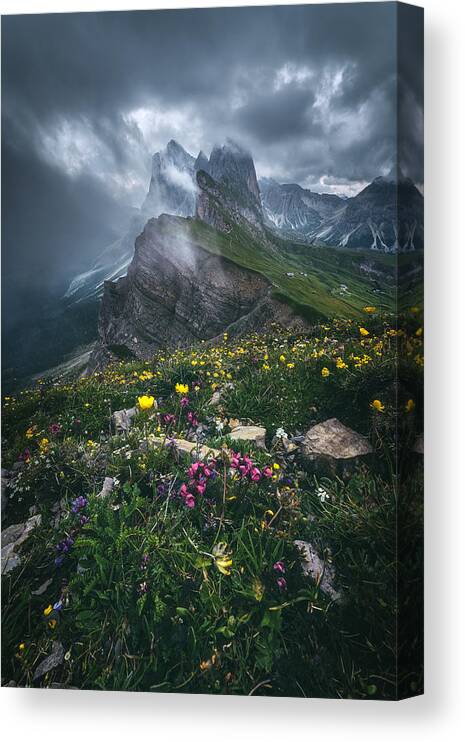 Dolomites Canvas Print featuring the photograph Dolomites - Seceda 2500 by Jean Claude Castor