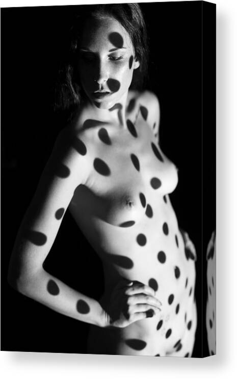 Dots Canvas Print featuring the photograph Dots II by Jan Blasko