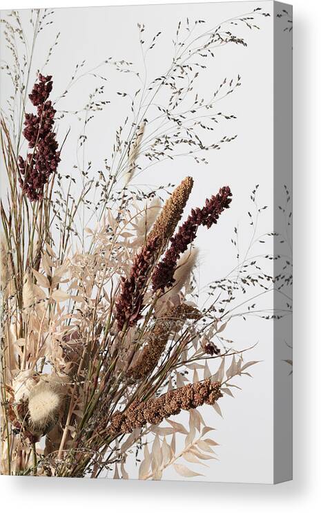 Botanical Canvas Print featuring the photograph Dried_001 by 1x Studio Iii