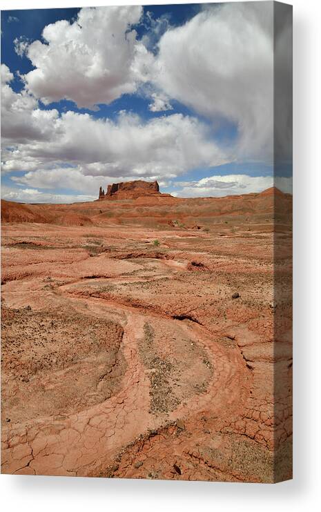 Scenic Byway 191 Canvas Print featuring the photograph Dry Washes along Scenic Byway 191 in AZ by Ray Mathis
