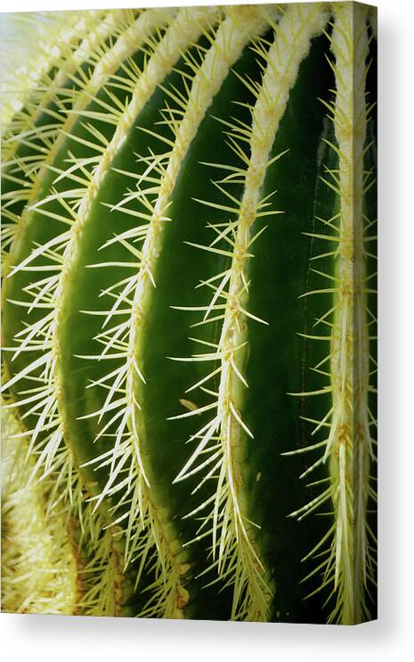 _dsc0077 Canvas Print featuring the photograph _dsc0077 by Tom Kelly