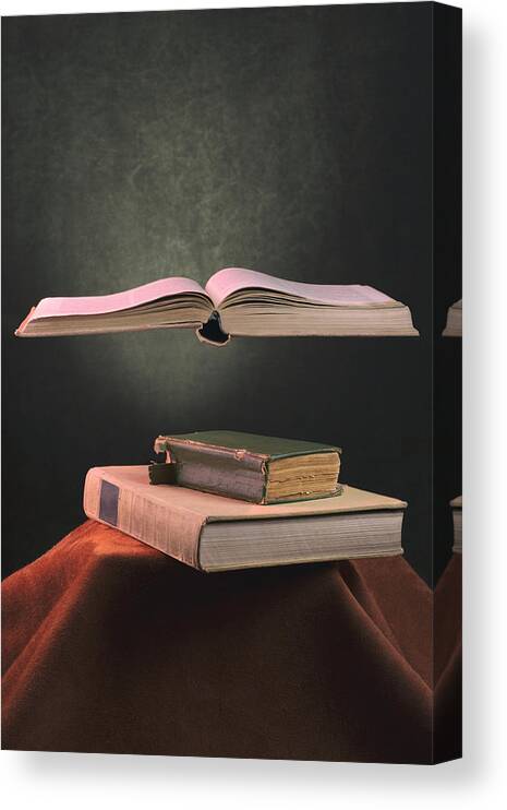 Still Life Canvas Print featuring the photograph Easy Genre by Brig Barkow