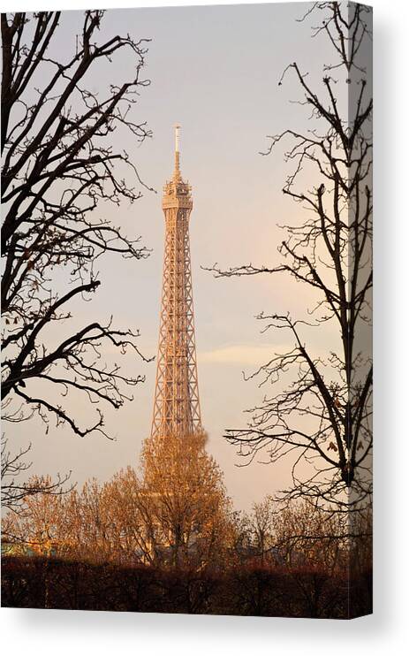 Eiffel Tower Canvas Print featuring the photograph Eiffel Tower And Trees by Dominik Eckelt
