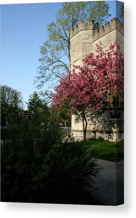 Eiu Spring Old Main Canvas Print featuring the photograph EIU Spring Old Main by Dylan Punke