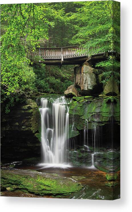 Appalachian Mountains Canvas Print featuring the photograph Elakala Falls West II by Alan Majchrowicz