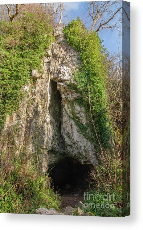 Gower Canvas Print featuring the photograph Entrance To Cathole Rock Cave by Andy Davies/science Photo Library