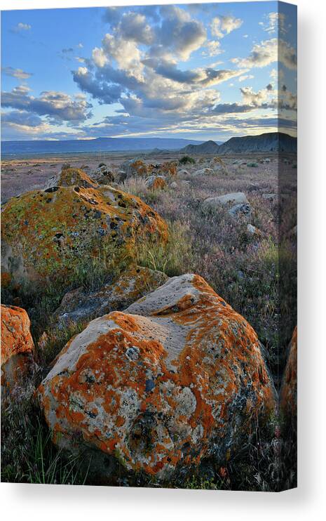 Book Cliffs Canvas Print featuring the photograph Evening Clouds over Book Cliffs Desert by Ray Mathis