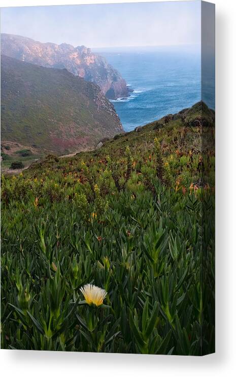 Evening Canvas Print featuring the photograph Evening Fog at Cabo da Roca, Portugal by Roberta Kayne