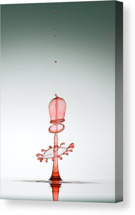 Abstract Canvas Print featuring the photograph Evolution Of Waterdrops - 9 by Veli Aydogdu