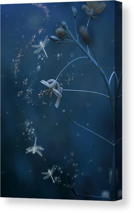 Surreal Canvas Print featuring the photograph Fairy Tales by Cicek Kiral