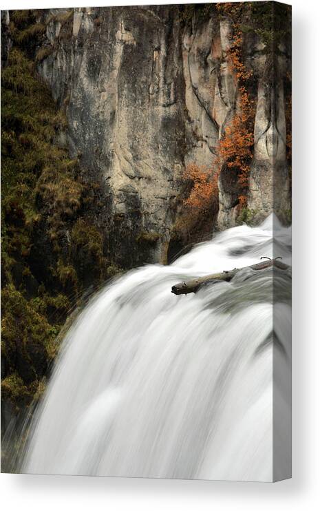 Autumn Canvas Print featuring the photograph Fall's Falls by David Andersen