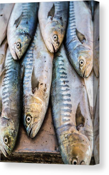 Agadir Canvas Print featuring the photograph Fish In Market, Taghazout, Morocco by Tim E White