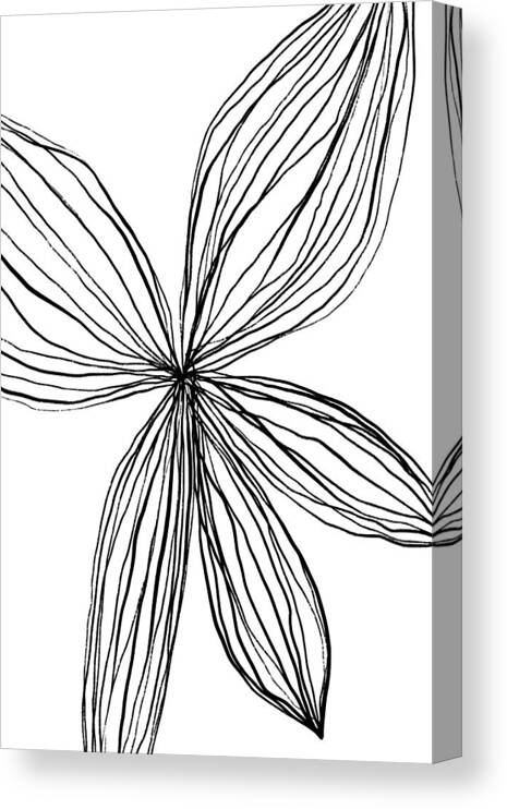 Lines
Flower
Feminine
Fragile
Lineart
Floral
Black
White Canvas Print featuring the photograph Flowerina 3 by Uplusmestudio