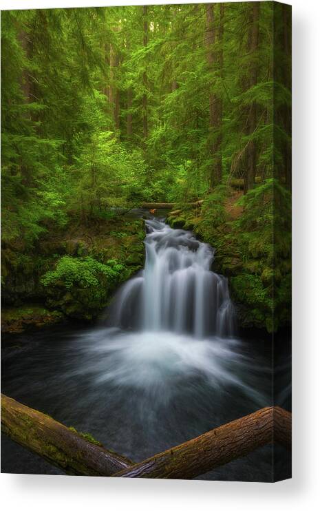 Lush Canvas Print featuring the photograph Flowing Through the Forest by Darren White