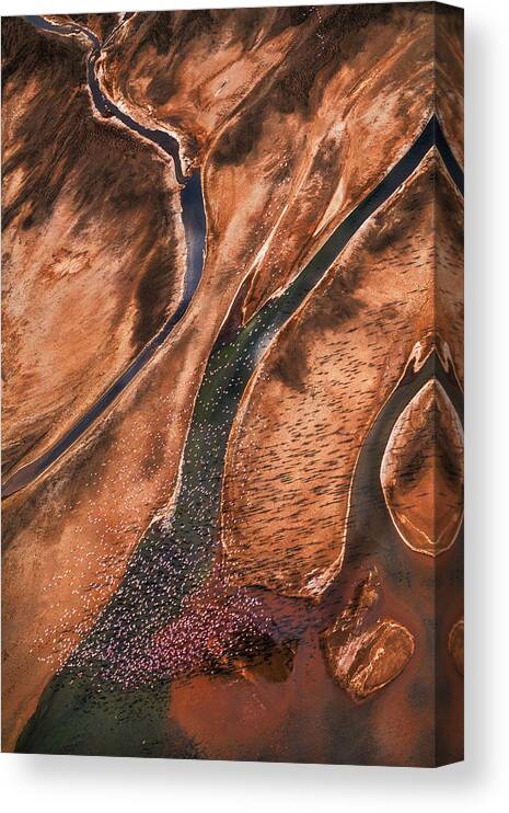 Kenya Canvas Print featuring the photograph Flying Over Palette by John Fan