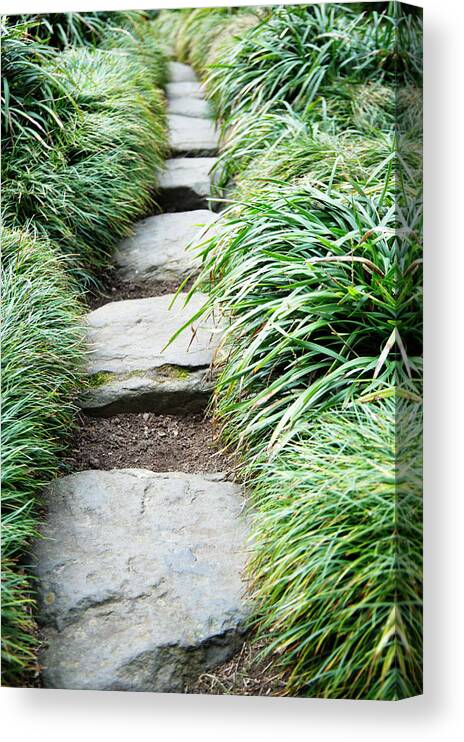 Grass Canvas Print featuring the photograph Footpath Through Zen Garden, Uk by Liz Whitaker
