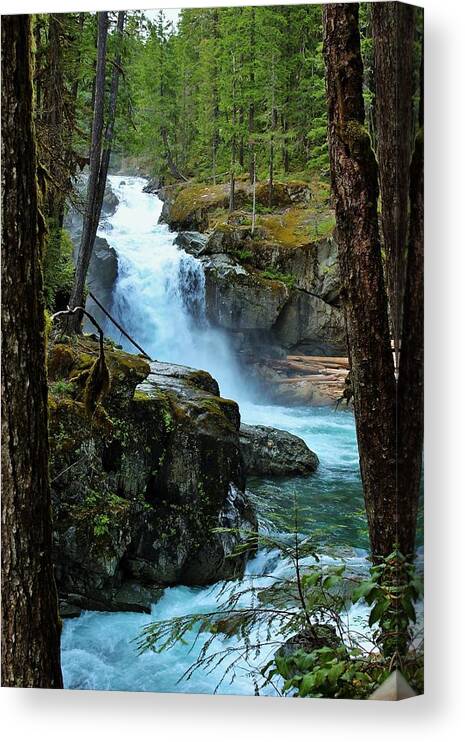 Silver Falls Canvas Print featuring the photograph Framing Silver Falls by Lkb Art And Photography
