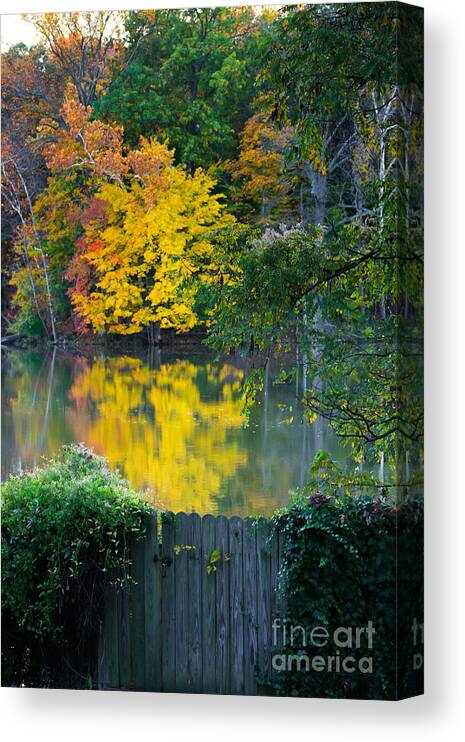Fall Canvas Print featuring the photograph Free Fall-Inn by Phil Cappiali Jr
