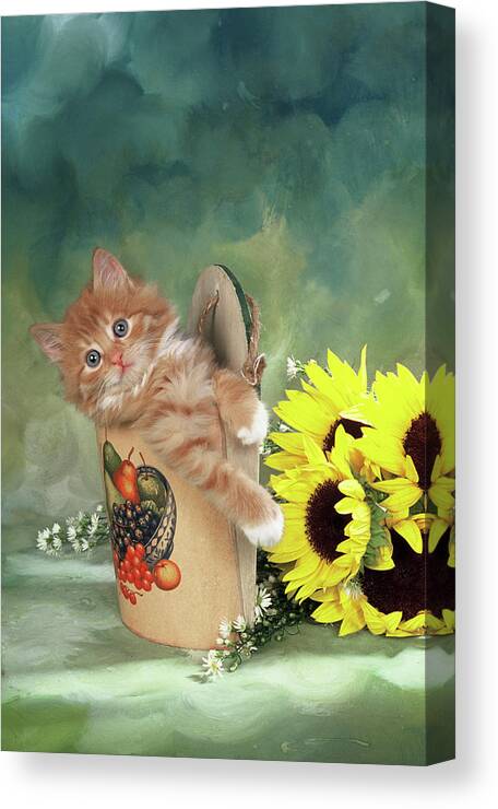 Animals Canvas Print featuring the photograph Fs2600 8 by Art House Design