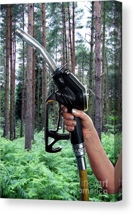 Forest Canvas Print featuring the photograph Fuel Pump Nozzle And Forest by Victor De Schwanberg/science Photo Library