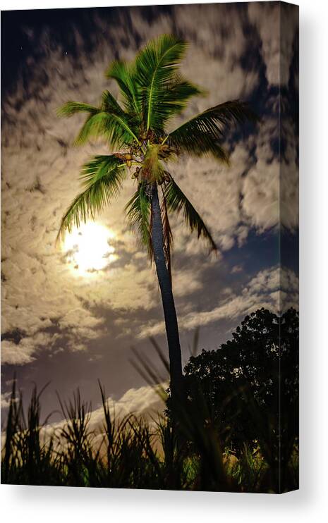 Hawaii Canvas Print featuring the photograph Full Moon Palm by John Bauer