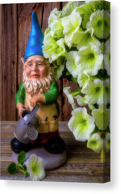 Garden Canvas Print featuring the photograph Garden Gnome With Petunias by Garry Gay