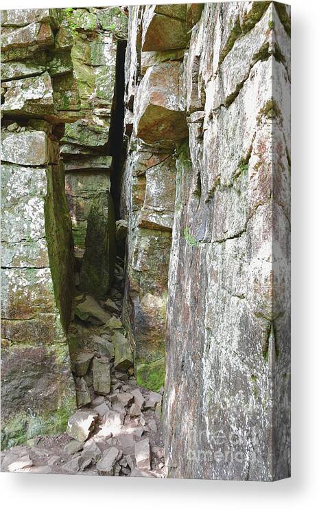Fall Creek Falls State Park Canvas Print featuring the photograph Geological Fissure by Phil Perkins