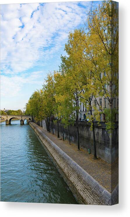 Paris Canvas Print featuring the photograph Golden Leaves Along the Seine by Liz Albro