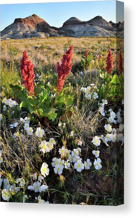 Ruby Mountain Canvas Print featuring the photograph Grand Junction Wildflowers by Ray Mathis