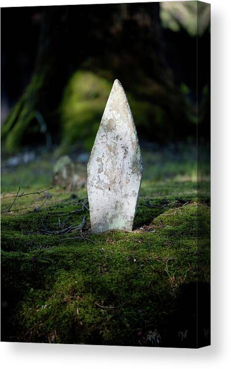 Gravestone Canvas Print featuring the photograph Gravestone Under a Tree by T Lynn Dodsworth