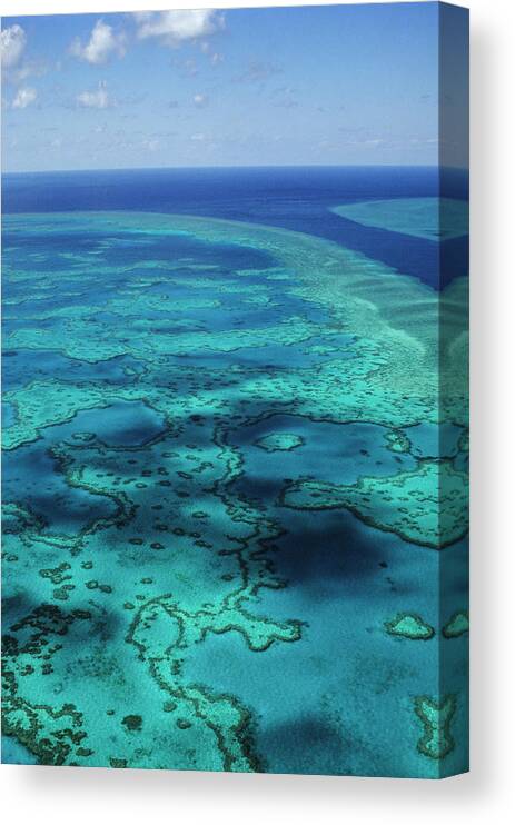 Water's Edge Canvas Print featuring the photograph Great Barrier Reef by Tammy616