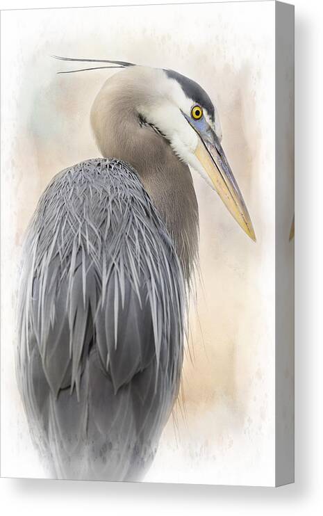 Bird Canvas Print featuring the photograph Great Blue Heron Portrait by Linda D Lester