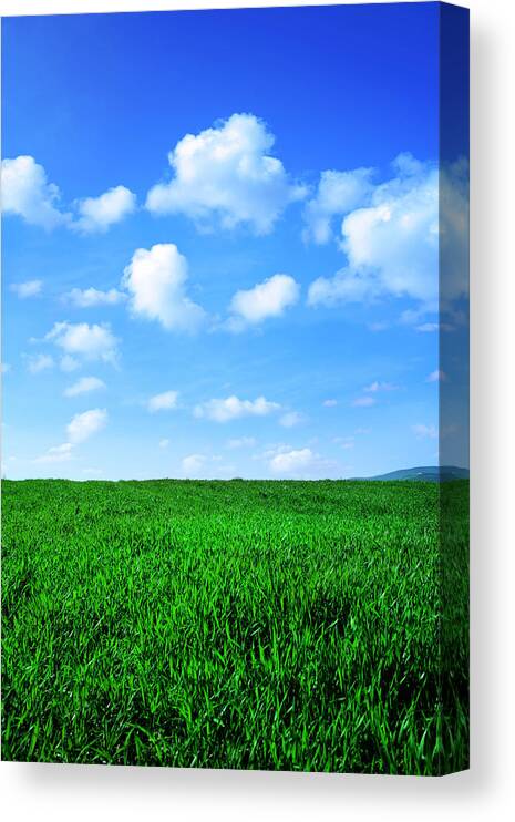 Grass Canvas Print featuring the photograph Green Field by Kertlis