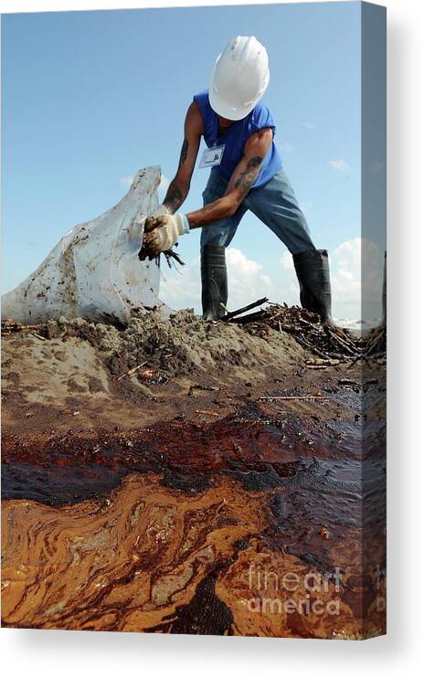 Accident Canvas Print featuring the photograph Gulf Of Mexico Oil Spill Clean-up by U.s Coast Guard/science Photo Library