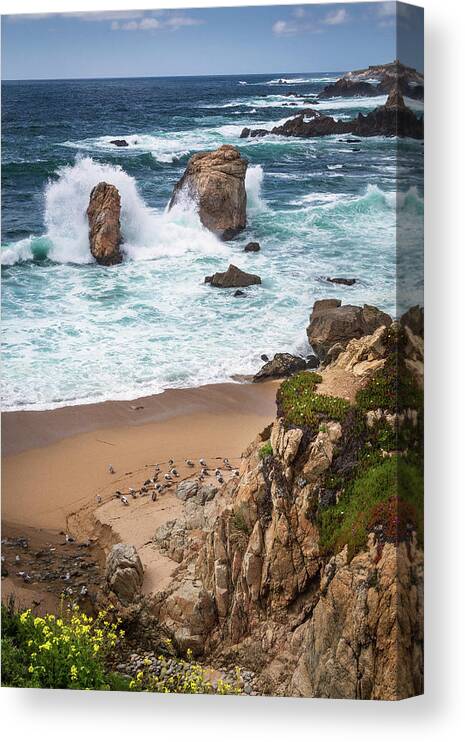 Ocean Canvas Print featuring the photograph Gulls Bathing in the Stream by Rick Strobaugh