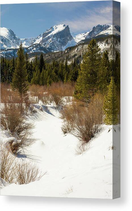 Hallett Canvas Print featuring the photograph Hallett Peak - Winter by Aaron Spong