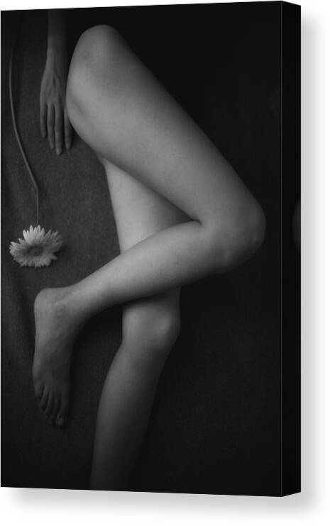 Legs Canvas Print featuring the photograph Hand, Legs, And Flower by Suren Manvelyan