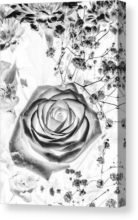 Garden Canvas Print featuring the photograph Harmonics inverted by Jorgo Photography