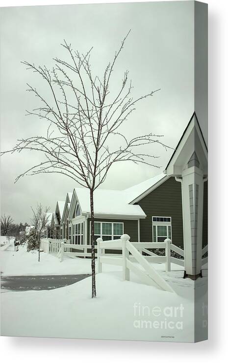 Snow Canvas Print featuring the photograph Hello Snow by Roberta Byram