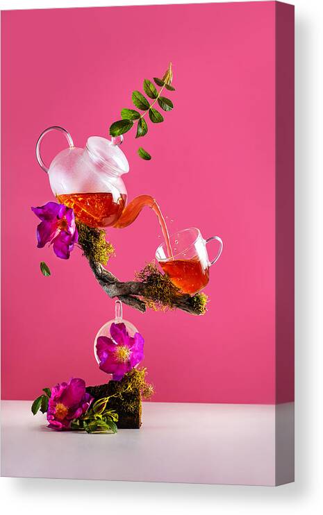 Stilllife Canvas Print featuring the photograph Herbal Balance by Dina Belenko